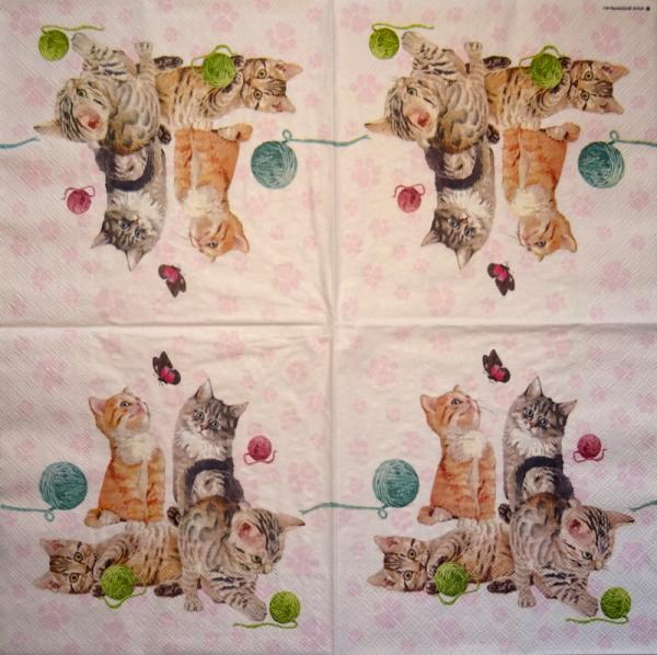 KAT-369 Cats - 3-ply - Ambiente
